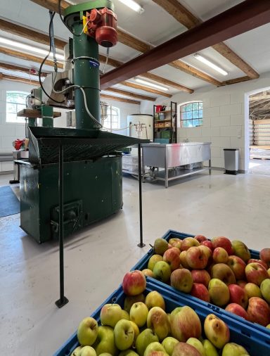 Blick in die Mosterei Apfelverarbeitung: Maschinen im Hintergrund, Kisten mit Äpfeln im Vordergrund.