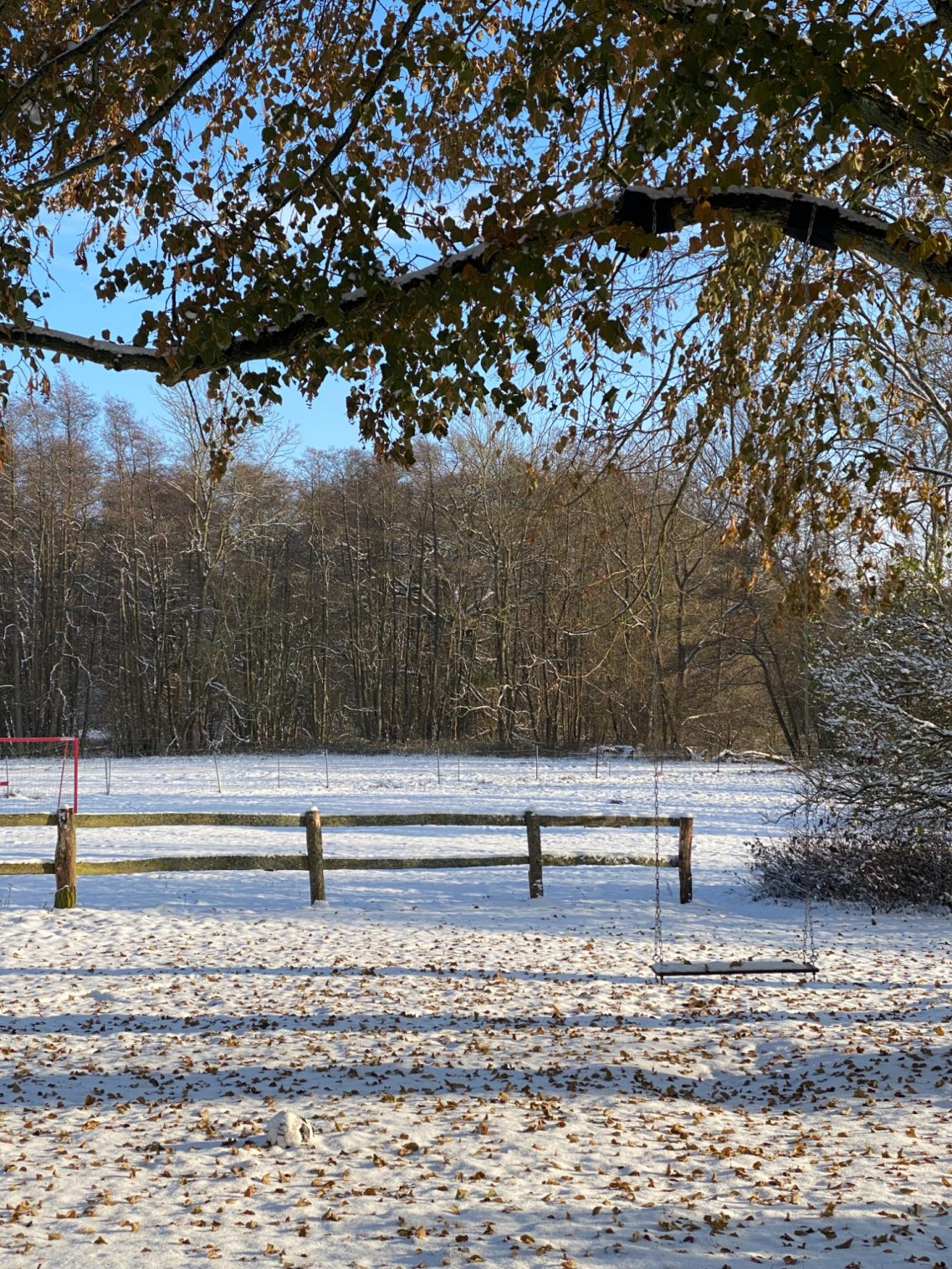 Blick auf die Wiese hinter dem Ferienhaus Schneebedeckte Landschaft mit einem Zaun und Bäumen im Hintergrund.