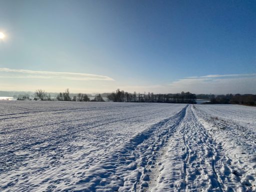 Schneebedeckte Landschaft mit einem klaren Himmel und Fußspuren im Schnee.
